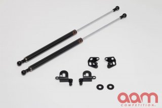 Circuit Sports R35 GT-R Carbon Fibre Hood Dampers