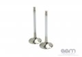 GT-R - Engine Upgrades - Ferrea Nissan GT-R Super Alloy Standard Size Exhaust Valves